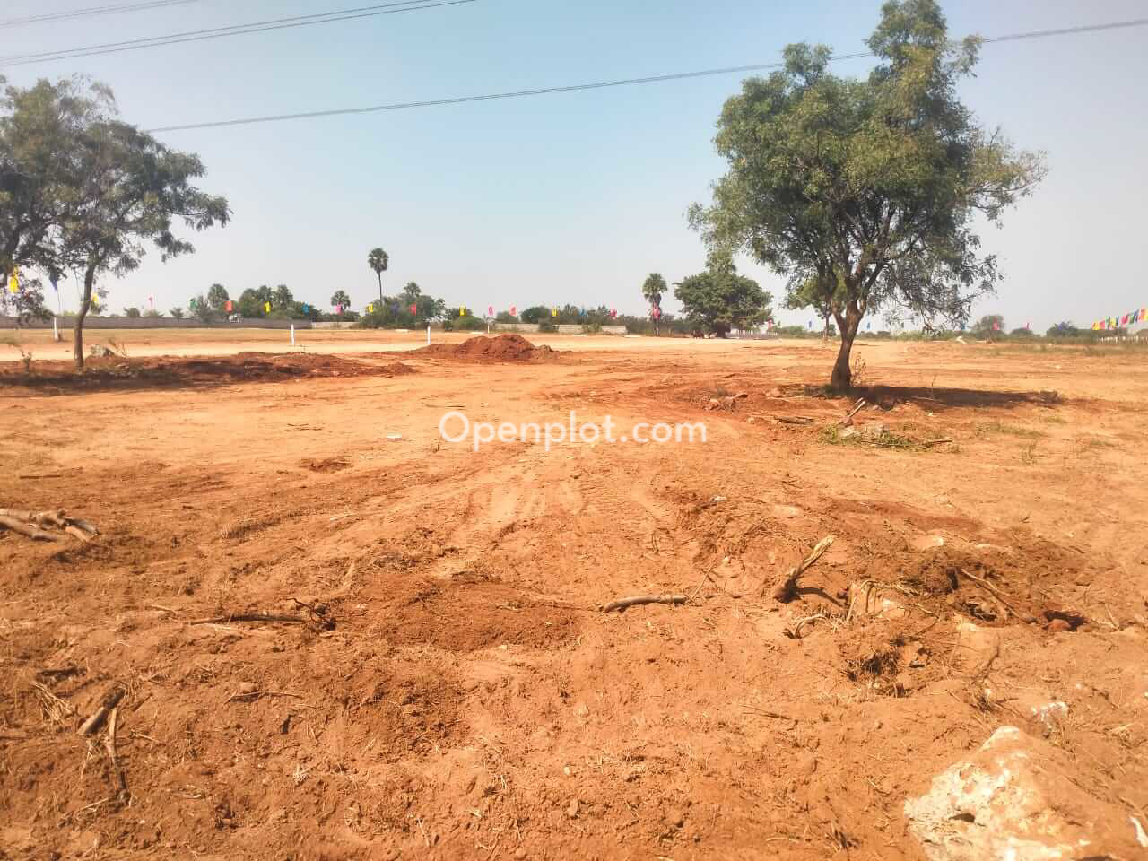 Plot for Sale in Kovur Kandukur,Prakasam